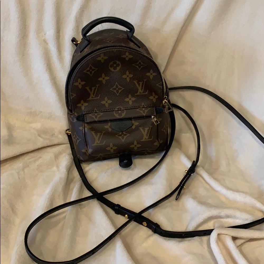 Louis Vuitton Palm Springs Mini